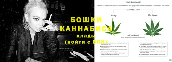 гашик Арсеньев